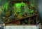 True Fear: Forsaken Souls image 2 thumbnail