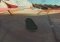 True Skate Android image 3 thumbnail