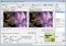Ulead SmartSaver image 3 thumbnail