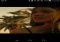 Vevo - regardez des clips Android image 8 thumbnail