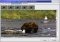 Video-AVI to GIF/JPEG Converter image 2 thumbnail