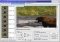 Video-AVI to GIF/JPEG Converter image 4 thumbnail