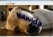 Video Fun Box image 3 thumbnail