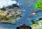 Vikings: War of Clans iPhone image 4 thumbnail