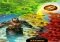 Vikings: War of Clans iPhone image 5 thumbnail