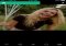 Vine iPhone image 2 thumbnail