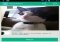 Vine Flow Android image 2 thumbnail
