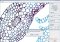 Virtual Microscope image 2 thumbnail