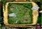 Virtual Villagers image 5 thumbnail