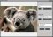 virtualStudio image 4 thumbnail