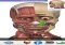 Visual Anatomy iPhone image 2 thumbnail