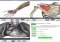 Visual Anatomy iPhone image 5 thumbnail