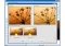 Visual Photo++ image 4 thumbnail