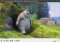 VLC Linux image 1 thumbnail