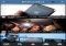 Vodio iPhone image 1 thumbnail