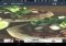 Wallgram Android image 6 thumbnail