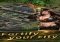 War of Glory-1943 Android image 1 thumbnail