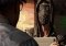 Watch Dogs 2 image 4 thumbnail