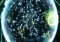 Waves image 6 thumbnail