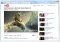 WebM Video image 1 thumbnail
