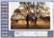 WebStyle image 2 thumbnail