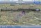 Wikipedia iPhone image 2 thumbnail