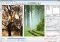 WinMorph image 1 thumbnail