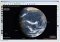 WinStars image 1 thumbnail