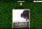 WorldCupGram Webapps image 5 thumbnail
