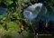 WorldShift image 1 thumbnail