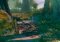WorldShift image 4 thumbnail