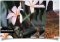 WOW Slider image 5 thumbnail