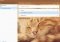 Wunderlist image 2 thumbnail