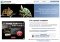 Zamzar Webapps image 3 thumbnail