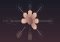 Zenge Android image 2 thumbnail