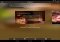 Zofari Android image 4 thumbnail