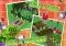 Zombie Farm iPhone image 2 thumbnail