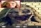 ZombieBooth iPhone image 1 thumbnail