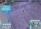 Marine Mania Zoo Tycoon 2 Demo