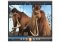 Zoom Player image 1 thumbnail