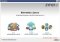Zyncro image 4 thumbnail