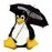 Crash Recovery Kit for Linux 2.6.7
