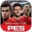 PES Collection 1.1.20