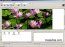 AceFTP 3.80.2 Pro Ingl�s