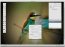 Acorn 1.5.3 Anglais