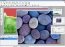 Active Pixels 3.05 Engels