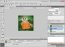 Adobe Fireworks CS4 Engelsk