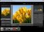 Adobe Photoshop Lightroom 2.5 Portugu�s
