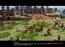 The Asian Dynasties  Age of Empires 3 Expansion Demo