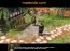 The Asian Dynasties Age of Empires 3 Expansion Demo